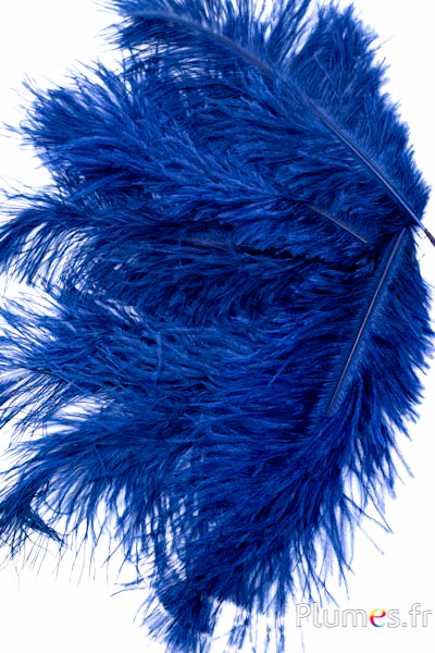 Autruche - 30-40 cm - bleu nuit